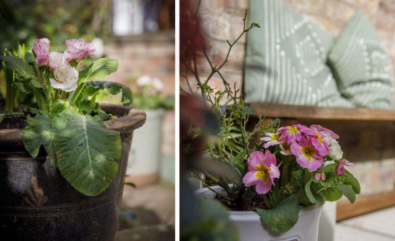 The Square Garden In For Up To 4 Guests York